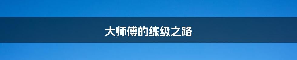 大师傅的练级之路