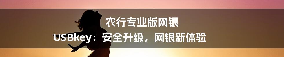 农行专业版网银 USBkey:安全升级,网银新体验