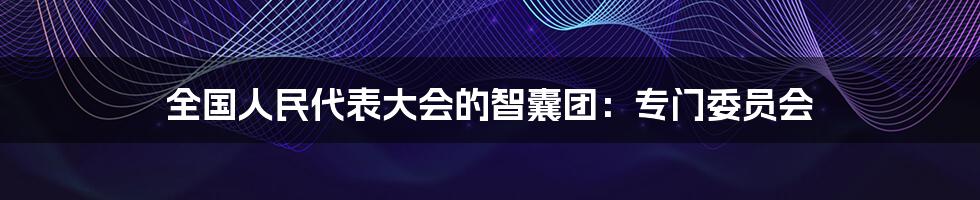 全国人民代表大会的智囊团:专门委员会