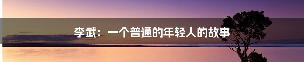 李武:一个普通的年轻人的故事