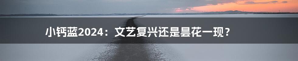 小钙蓝2024:文艺复兴还是昙花一现?