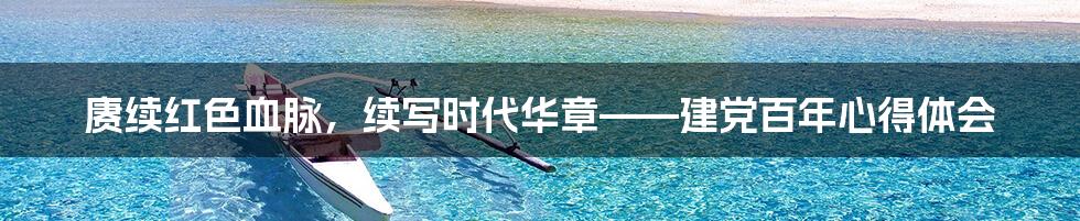 赓续红色血脉,续写时代华章——建党百年心得体会