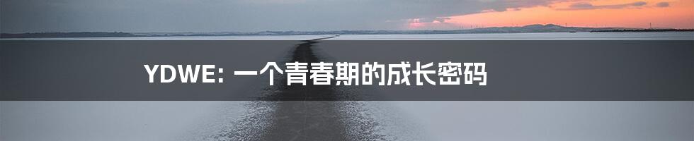 YDWE: 一个青春期的成长密码