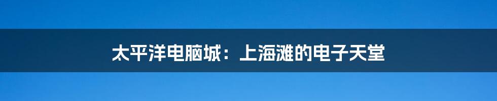 太平洋电脑城:上海滩的电子天堂