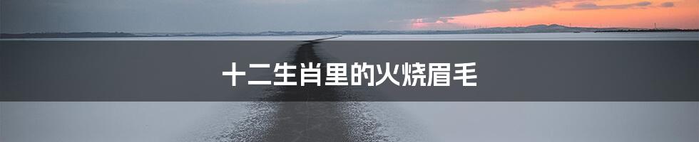 十二生肖里的火烧眉毛