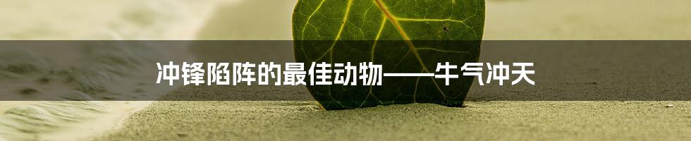冲锋陷阵的最佳动物——牛气冲天