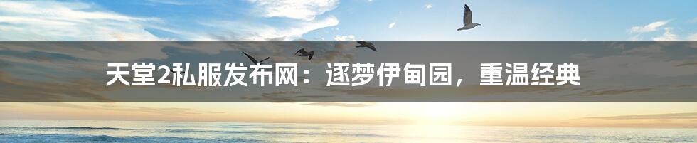 天堂2私服发布网:逐梦伊甸园,重温经典