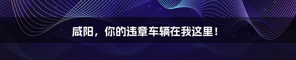 咸阳,你的违章车辆在我这里!