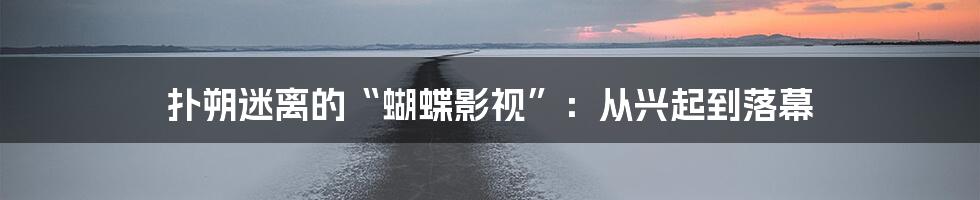 扑朔迷离的“蝴蝶影视”:从兴起到落幕