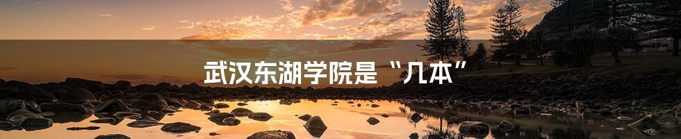 武汉东湖学院是“几本”