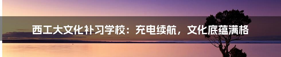 西工大文化补习学校:充电续航,文化底蕴满格
