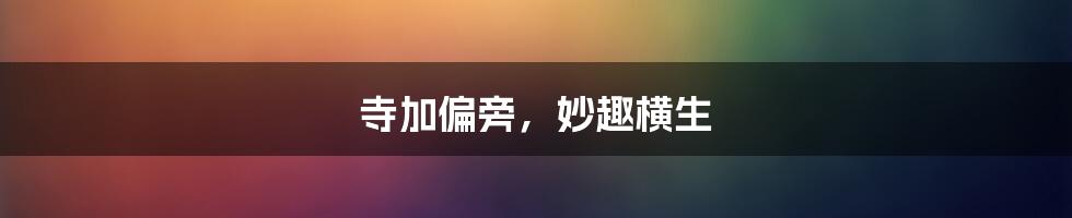 寺加偏旁,妙趣横生