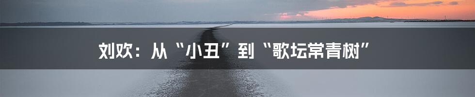 刘欢：从“小丑”到“歌坛常青树”