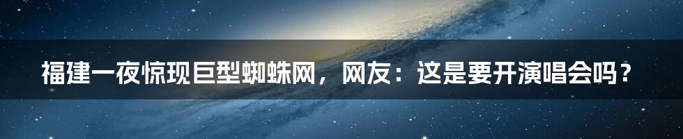 福建一夜惊现巨型蜘蛛网，网友：这是要开演唱会吗？