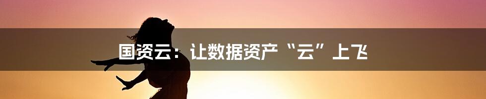 国资云:让数据资产“云”上飞