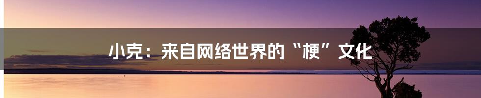 小克:来自网络世界的“梗”文化