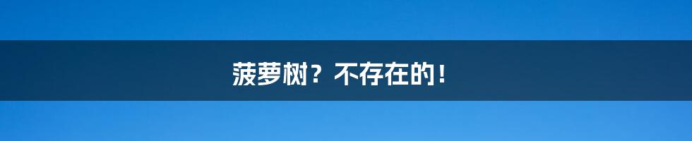 菠萝树?不存在的!