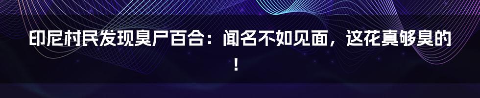 印尼村民发现臭尸百合:闻名不如见面,这花真够臭的!