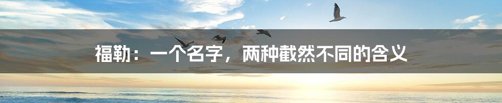 福勒:一个名字,两种截然不同的含义
