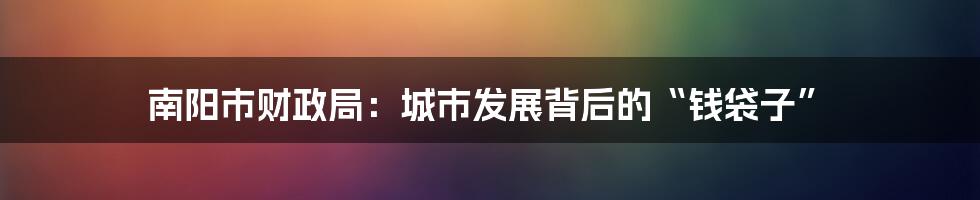 南阳市财政局:城市发展背后的“钱袋子”
