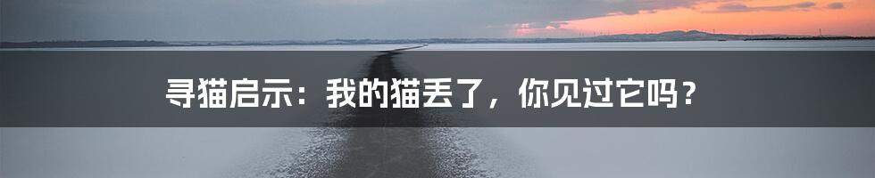 寻猫启示:我的猫丢了,你见过它吗?