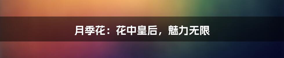 月季花:花中皇后,魅力无限