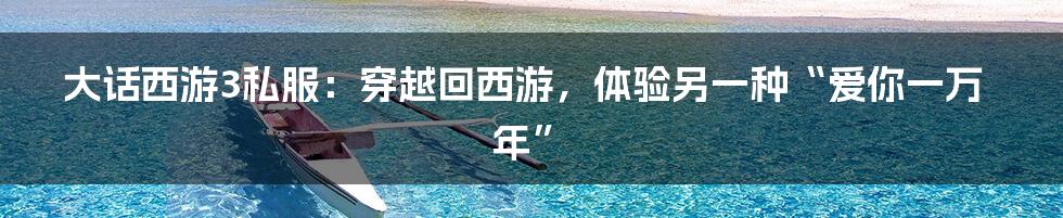 大话西游3私服:穿越回西游,体验另一种“爱你一万年”