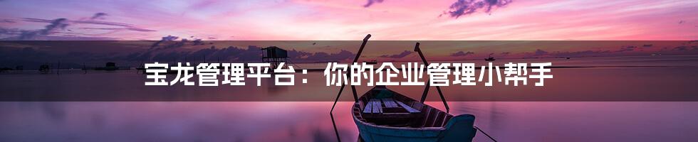 宝龙管理平台:你的企业管理小帮手