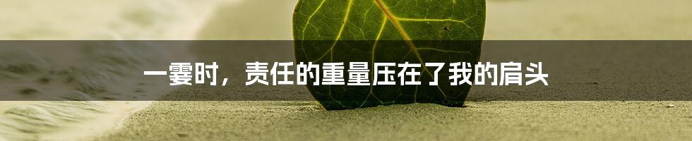 一霎时,责任的重量压在了我的肩头