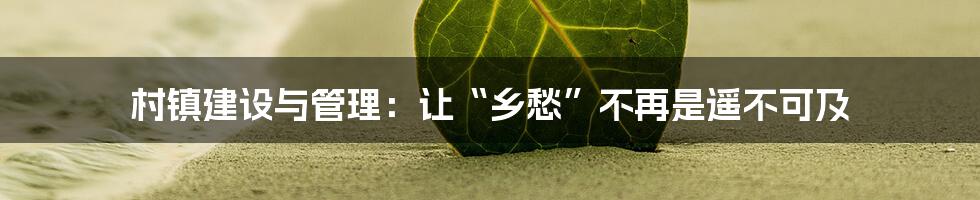 村镇建设与管理:让“乡愁”不再是遥不可及