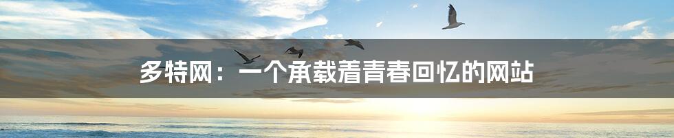 多特网:一个承载着青春回忆的网站