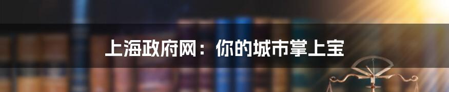 上海政府网:你的城市掌上宝
