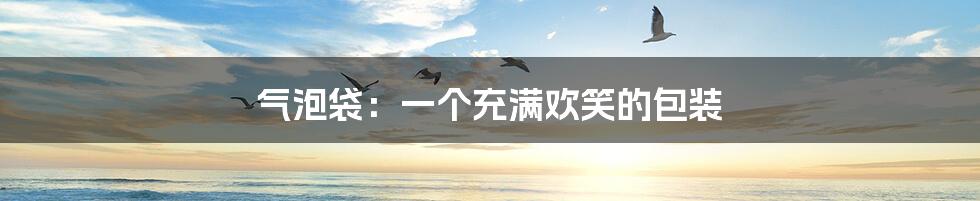 气泡袋:一个充满欢笑的包装