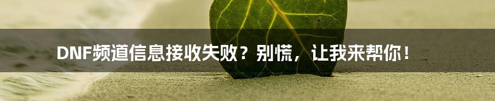 DNF频道信息接收失败?别慌,让我来帮你!