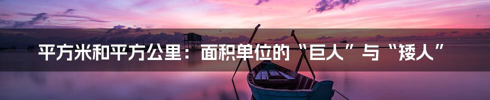 平方米和平方公里:面积单位的“巨人”与“矮人”