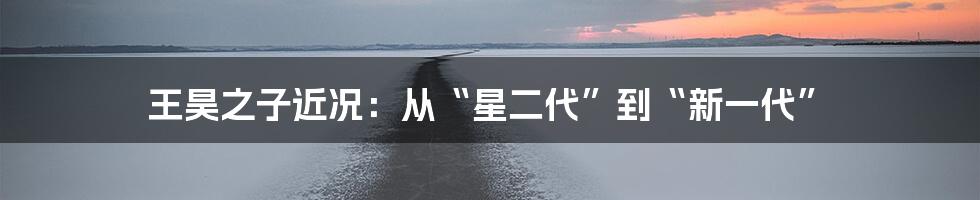 王昊之子近况:从“星二代”到“新一代”
