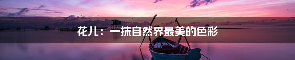 花儿:一抹自然界最美的色彩