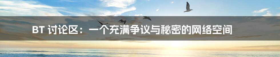 BT 讨论区:一个充满争议与秘密的网络空间
