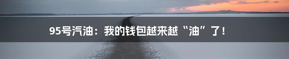 95号汽油:我的钱包越来越“油”了!