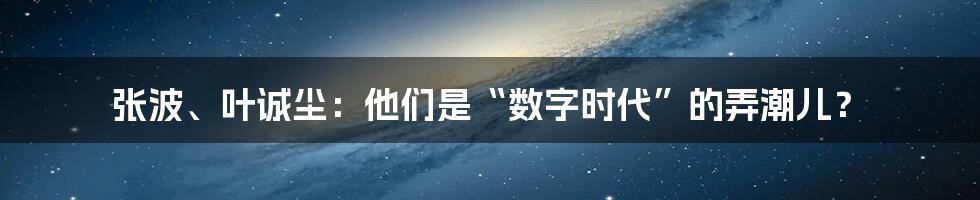 张波、叶诚尘:他们是“数字时代”的弄潮儿?