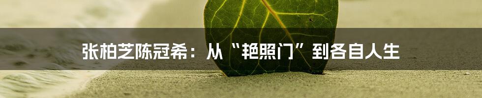 张柏芝陈冠希:从“艳照门”到各自人生