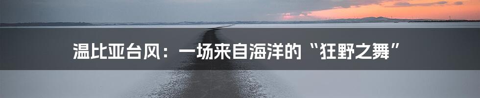 温比亚台风:一场来自海洋的“狂野之舞”
