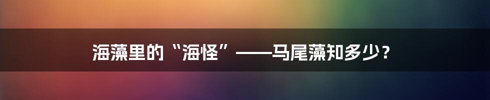海藻里的“海怪”——马尾藻知多少？