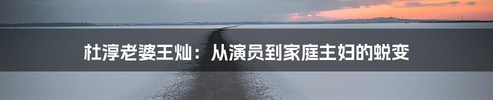 杜淳老婆王灿：从演员到家庭主妇的蜕变