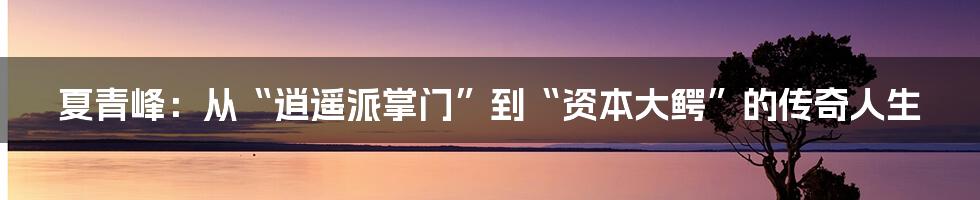 夏青峰:从“逍遥派掌门”到“资本大鳄”的传奇人生