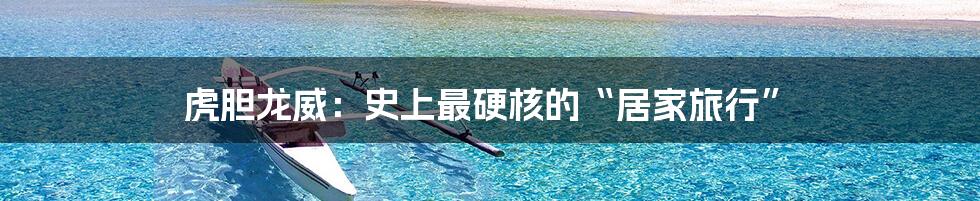 虎胆龙威:史上最硬核的“居家旅行”