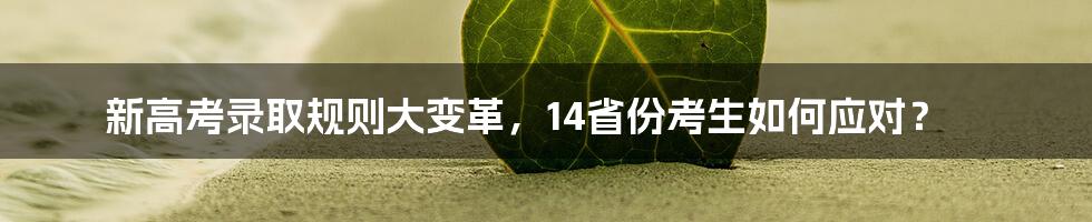 新高考录取规则大变革,14省份考生如何应对?