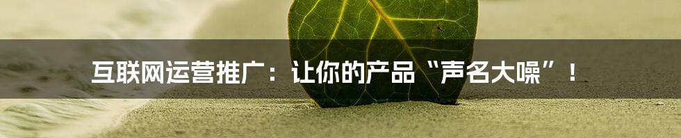 互联网运营推广:让你的产品“声名大噪”!