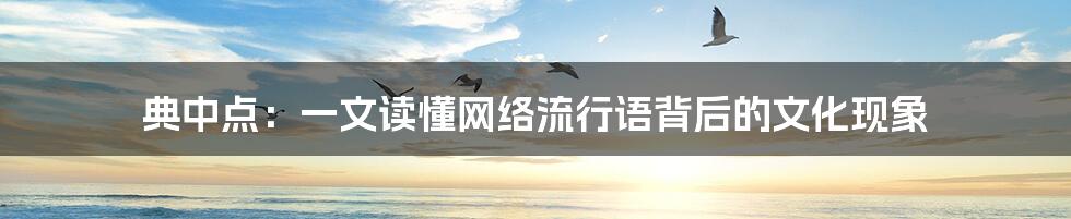 典中点:一文读懂网络流行语背后的文化现象