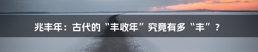 兆丰年:古代的“丰收年”究竟有多“丰”?